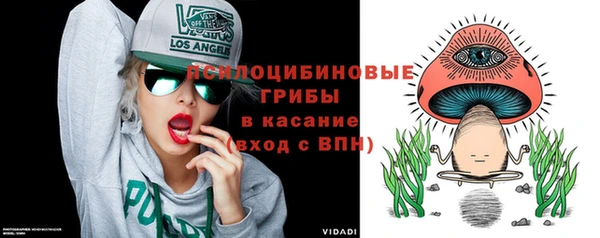 a pvp Каменка