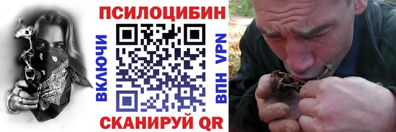 Псилоцибиновые грибы MAGIC MUSHROOMS  Купить закладки  Дигора 